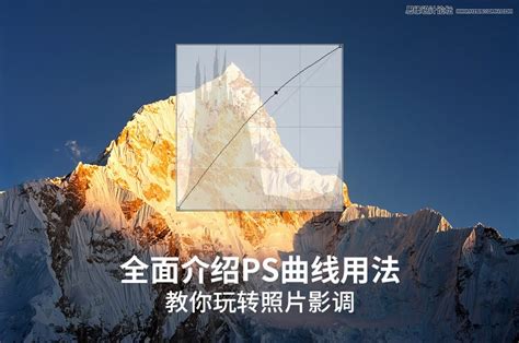 Photoshop详细解析曲线工具的使用原理 Ps教程网