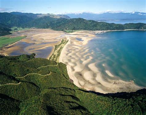 Accretion Wainui Inlet Coastal Erosion Te Ara Encyclopedia Of New