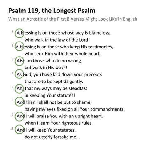 Psalm 119 The Longest Psalm Explained