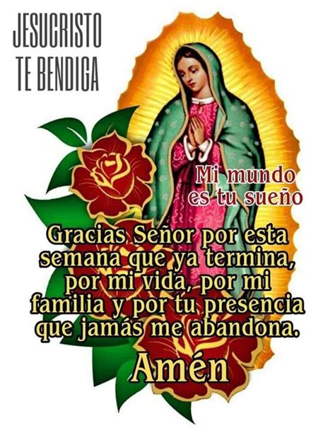 Top Imagenes Con Frases De La Virgen De Guadalupe Smartindustry Mx