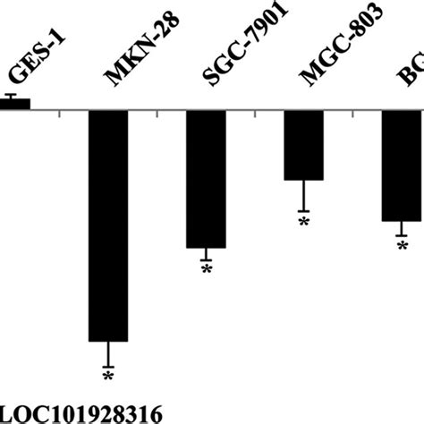 Loc101928316 Expression Levels Of Gastric Cancer Tissues Samples A