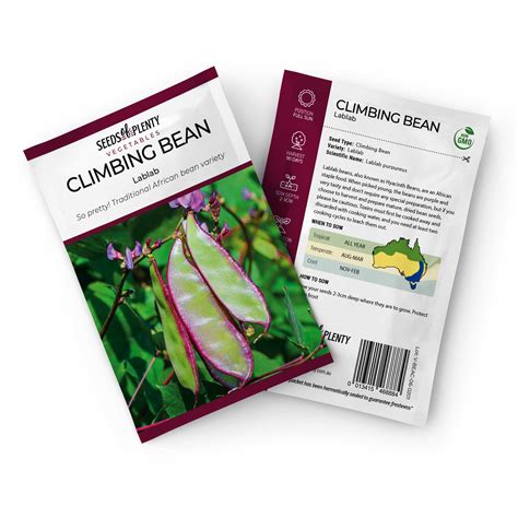 Climbing Bean Lablab Buy Online At Seeds Of Plenty Seeds Of Plenty