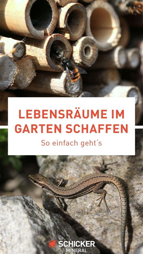 An Image Of A Lizard On Rocks With The Words Lebensraume Im Garten