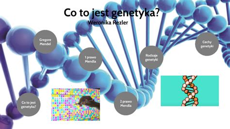 Co To Jest Genetyka By Weronika Rezler On Prezi