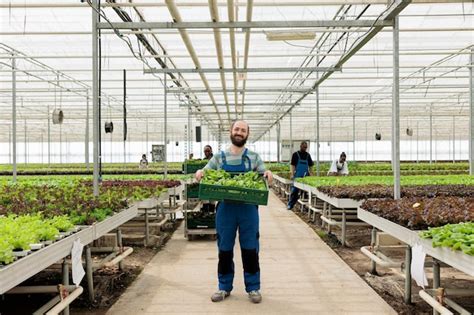 Agricultor Feliz En Una Granja De Invernaderos Ecol Gicos Empresarial