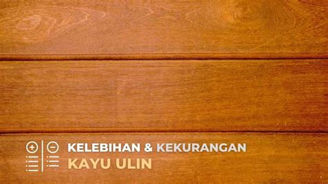 Kenali Kayu Ulin Dari Karakteristik Hingga Segudang Manfaatnya Toko