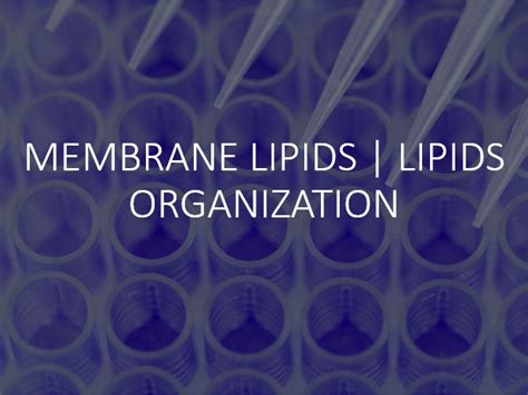 Membrane Lipids | Lipids Organization | Teaching Resources