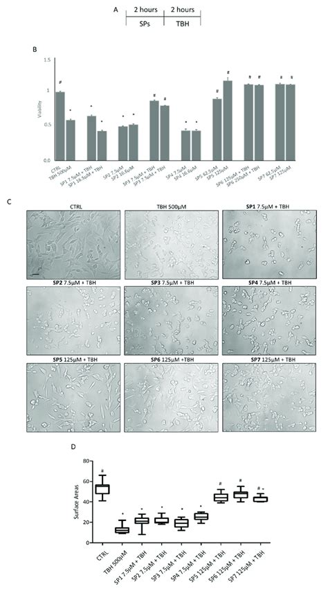 Antioxidant And Protective Effects Of MITO Compound Treatment Against