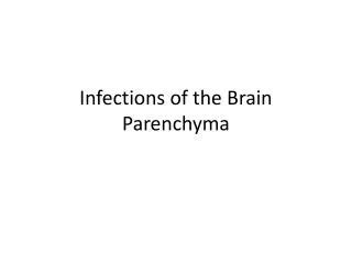 PPT - Parenchyma PowerPoint Presentation, free download - ID:6731203