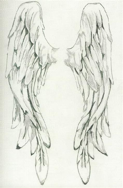 Beautiful Angel Wings Drawing Clip Art Library