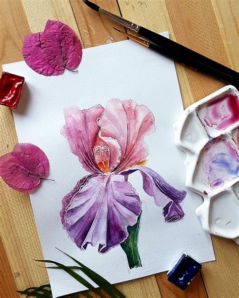 Ирис акварелью | Acuarela, Flores, Arte