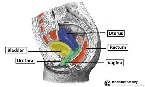 Hysterectomy Procedure Indications Complications Teachmeobgyn