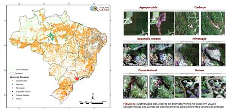 Desmatamento Nos Biomas Do Brasil Cresceu 22 3 Em 2022