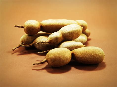 Free photo: Tamarind Fruit - Africa, Texture, Tamarind - Free Download ...