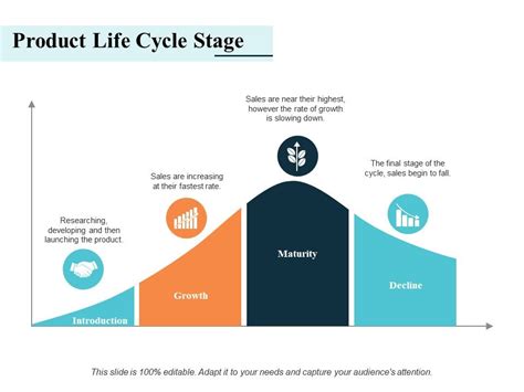 Product Life Cycle Stage Ppt Powerpoint Presentation Styles Microsoft