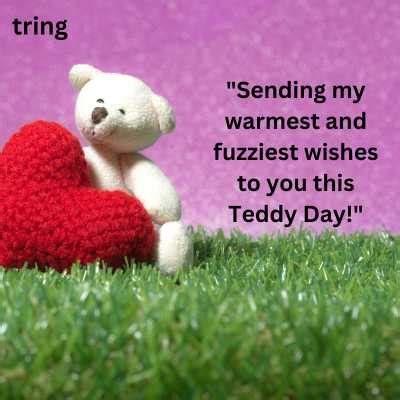 Top 50 Happy Teddy Day Wishes and Messages 2024