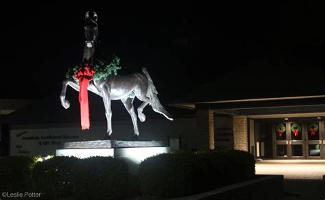 Kicking Off the Holidays with Horses at Southern Lights