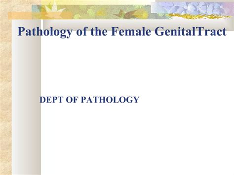 Female Genital System Ppt