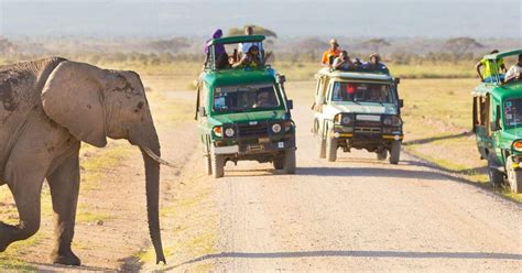 4 Day Maasai Mara Lake Nakuru Camping Safari On A 4x4 Jeep GetYourGuide