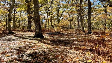 The Priest: A Challenging Appalachian Trail Hike in Virginia