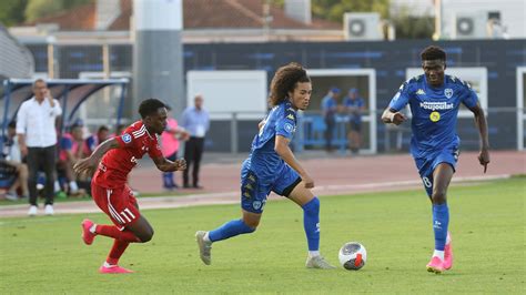 National les Chamois Niortais font le plein face à Cholet