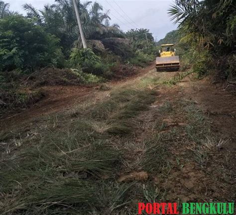 Miris Jalan Penghubung Desa Setia Budi Tanah Harapan Tak Tersentuh