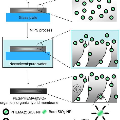 PDF Advances In Porous Organic Inorganic Composite Membranes