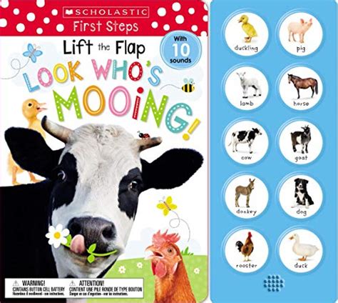 Top Scholastic Lift Flap Books Of Best Reviews Guide