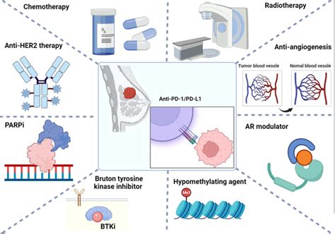 Combinatorial Strategies With Pd Pd L Immune Checkpoint Blockade For