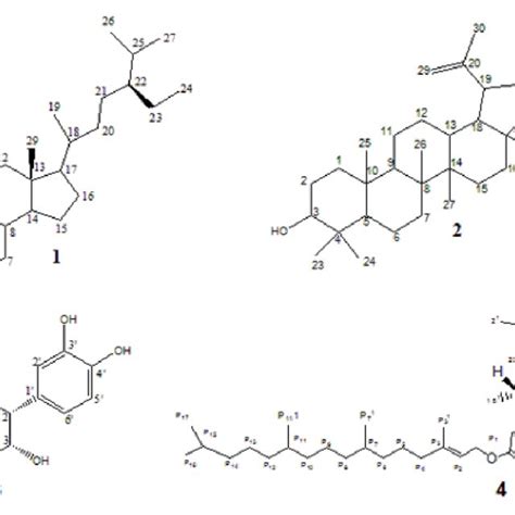 Chemical structures of compounds 1 β sitosterol 2 lupeol 3