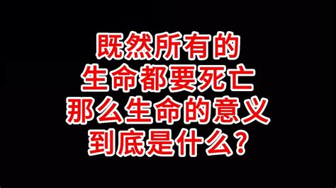 网上爆火的一个问题：既然所有的生命都要死亡那么生命的意义到底是什么？ Youtube