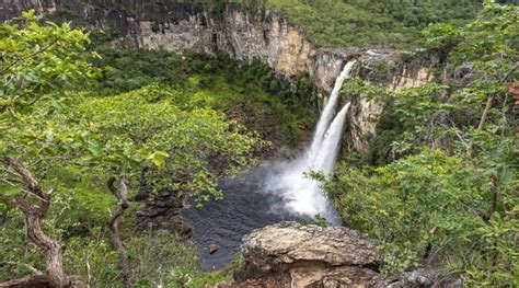 Seis Em Cada Dez Brasileiros J Visitaram Algum Parque Natural Do Pa S