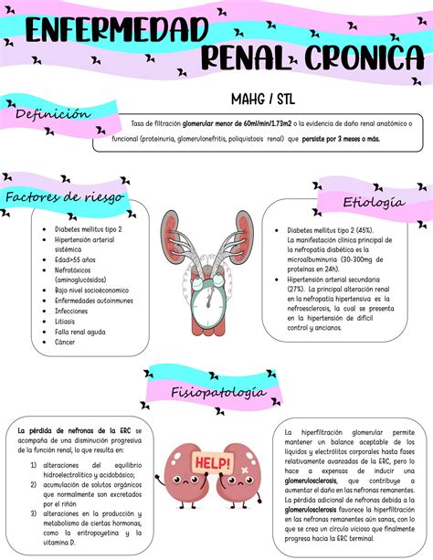 Solution Enfermedad Renal Cronica Nw Studypool