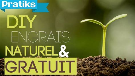 Comment Faire Un Engrais Naturel Et Gratuit YouTube