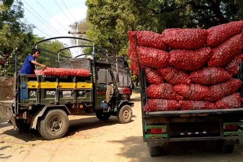 Myanmar To Export 100 000 Tonnes Of Onions In FY 2023 2024 Global New