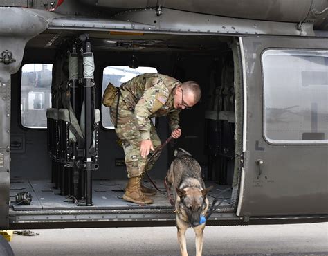 Military working dogs receive MedEvac training