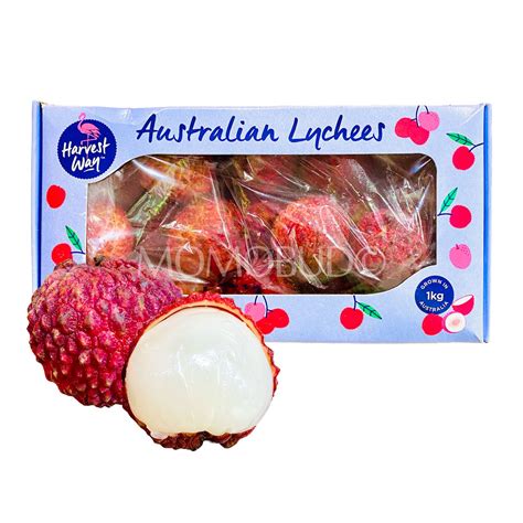 Australian Dragon Egg Lychee T Box 1kg — Momobud