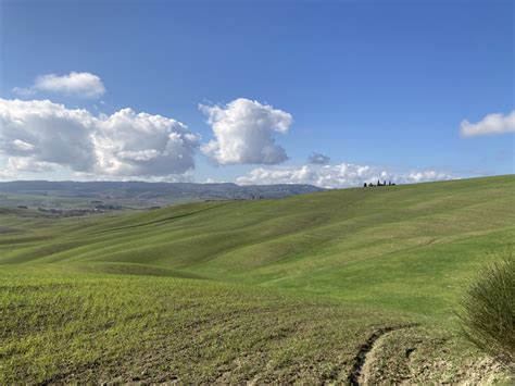 Banca Nazionale Delle Terre Agricole In Sicilia All Asta Oltre 7mila