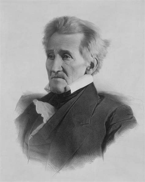 Andrew Jackson Drawing At Explore Collection Of