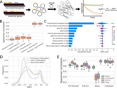 Bioinformatics Researchers Develop A New Machine Learning Approach