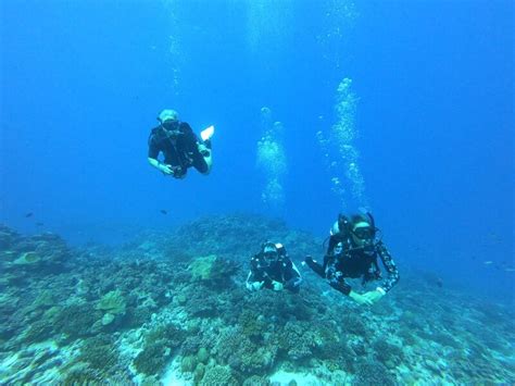 Trip Report - Diving Rangiroa and Tikehau | ScubaBoard