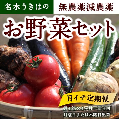 【月イチ定期便】uic 名水うきはの無農薬減農薬お野菜セット ひと月1箱×4か月計4回 福岡県うきは市 Jre Mallふるさと納税