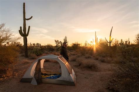 Camping In And Around Saguaro National Park What To See In 2025