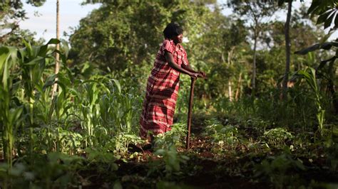 Engaging Indigenous Peoples In Global Climate Governance Our World