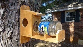 flying squirrel feeder plans - Woodworking Challenge