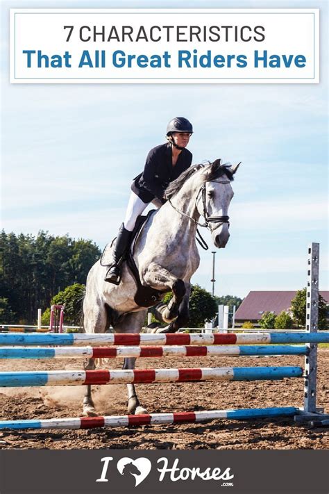 11 Different Riding Styles For Your Horse Artofit