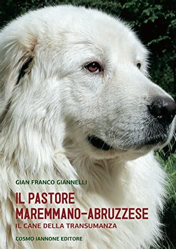 Il Cane Pastore Maremmano Abruzzese Il Cane Della