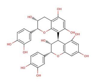 Procyanidin B2 CAS 29106 49 8 SCBT Santa Cruz Biotechnology