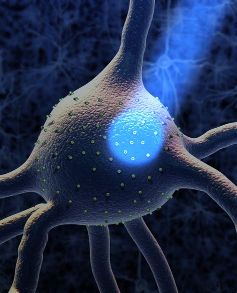 Light Activated Neurons Hold Bright Promise For Brain Science STAT