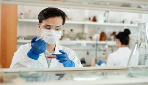 Lab Equipment Worksheet With Answers